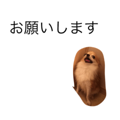 [LINEスタンプ] えんまる2