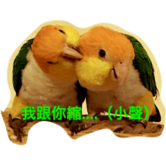 [LINEスタンプ] parrots usual II