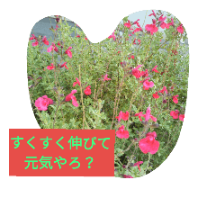 [LINEスタンプ] 日本の花たちです。