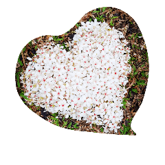 [LINEスタンプ] snow flowers