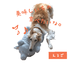 [LINEスタンプ] ボルゾイのえるざ