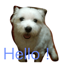 [LINEスタンプ] Sleeping Dog.