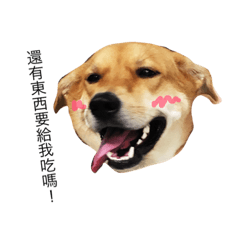 [LINEスタンプ] cute puppy love