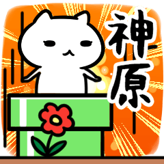 [LINEスタンプ] 神原（かんばら）さん専用スタンプ40個入り