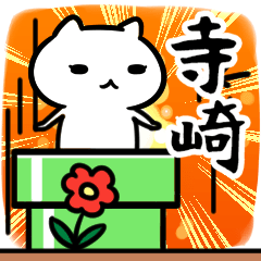 [LINEスタンプ] 寺崎(てらさき)専用スタンプ40個入り