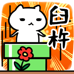 [LINEスタンプ] 臼杵専用スタンプ40個入り