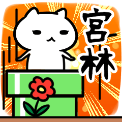 [LINEスタンプ] 宮林専用スタンプ40個入り