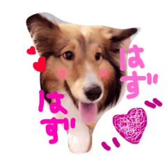 [LINEスタンプ] kinakon