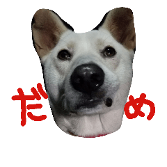 [LINEスタンプ] fumiiri