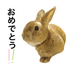 [LINEスタンプ] ラテうさぎ。