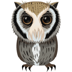 Cute owl www