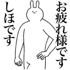 [LINEスタンプ] しほ専用！便利な名前スタンプ