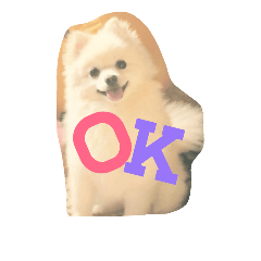 [LINEスタンプ] ぽめぽめふらん