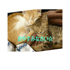 [LINEスタンプ] every every