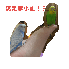 [LINEスタンプ] The daily life of birds