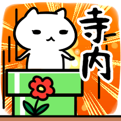 [LINEスタンプ] 寺内さん専用スタンプ40個入り