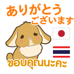 [LINEスタンプ] ウサギ : 感謝の毎日 日本語タイ語の画像（メイン）