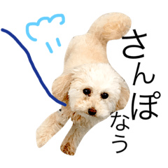 [LINEスタンプ] kahogo no azukichan3の画像（メイン）