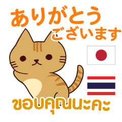 [LINEスタンプ] 猫 : 感謝の毎日 日本語タイ語