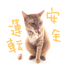 [LINEスタンプ] nyari.2
