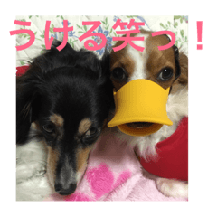 [LINEスタンプ] ナビスコの日常2