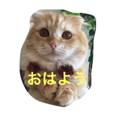 [LINEスタンプ] みるばにsisters