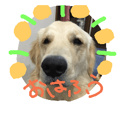 [LINEスタンプ] ふうちゃんスタンプ part2