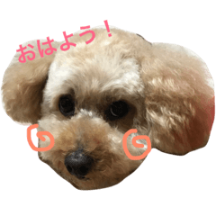 [LINEスタンプ] 伊藤さん家のれおんくん
