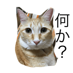 [LINEスタンプ] レオンと一緒