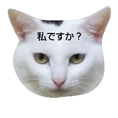 [LINEスタンプ] しじみと愉快な仲間たち。