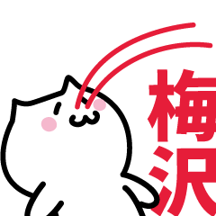 [LINEスタンプ] 梅沢(うめざわ)専用スタンプ！！！