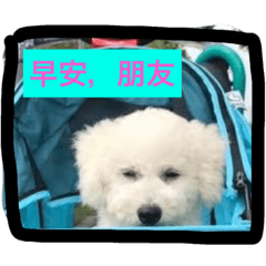 [LINEスタンプ] baby dog 1