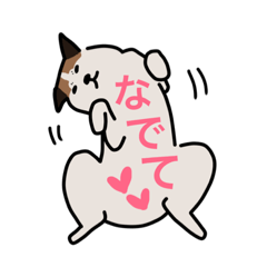 [LINEスタンプ] 実家のいぬスタンプ