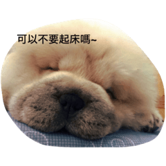 [LINEスタンプ] little dan