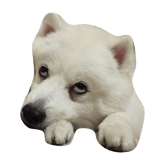 [LINEスタンプ] Hello,I miss u