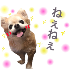 [LINEスタンプ] モンチ＆チムタム