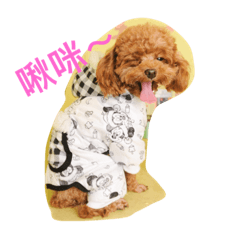 [LINEスタンプ] blessed.dodo