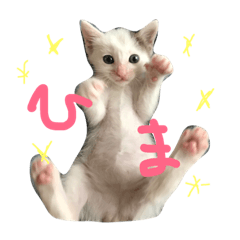 [LINEスタンプ] 赤ちゃんしゅうニャン