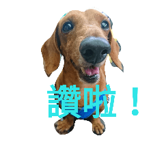[LINEスタンプ] l'm Coca