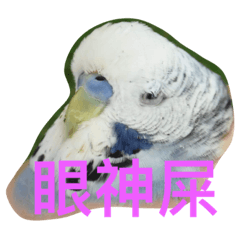 [LINEスタンプ] parrots usual