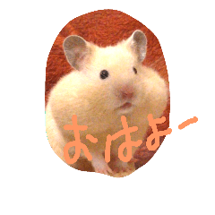 [LINEスタンプ] ハムスターや！