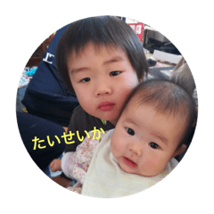 [LINEスタンプ] たいせいか