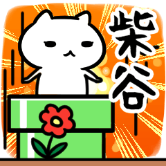 [LINEスタンプ] 柴谷専用スタンプ40個入り