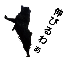 [LINEスタンプ] くろわんこ