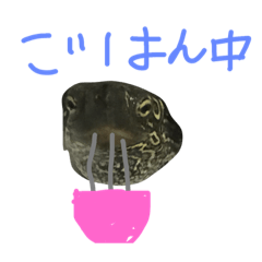 [LINEスタンプ] 黒助の1日