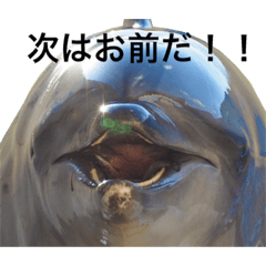 [LINEスタンプ] 海獣たち2