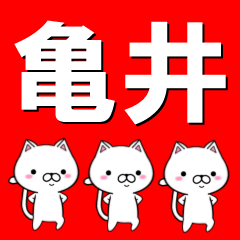 [LINEスタンプ] 超★亀井(かめい・カメイ)なネコの画像（メイン）