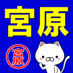 [LINEスタンプ] 超★宮原(みやはら・みやばら・みやのはら)の画像（メイン）