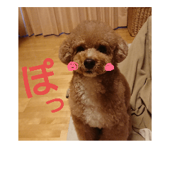 [LINEスタンプ] りおんぽんさんま