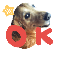 [LINEスタンプ] 犬のココたん